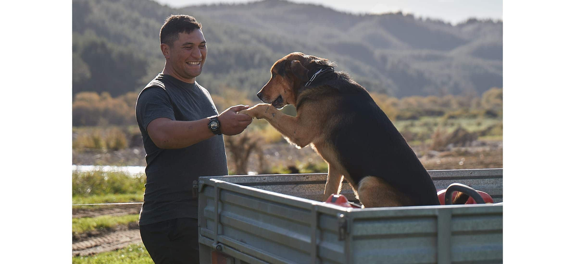 Farm manager Hare shakes his dog’s paw as it sits on the back of a truck.